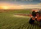 FCO Rural tem R$ 48,7 milhões aprovados