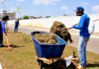 EQUIPES DA PREFEITURA FAZEM ROÇAGEM E RASTELO EM RUAS E AVENIDAS DE TRÊS BAIRROS DE TRINDADE